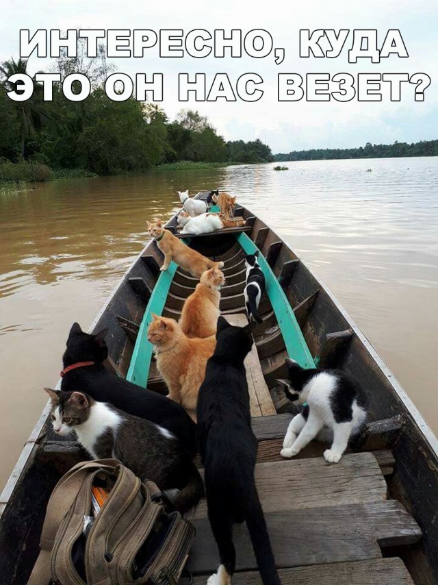 Нестандартный юмор