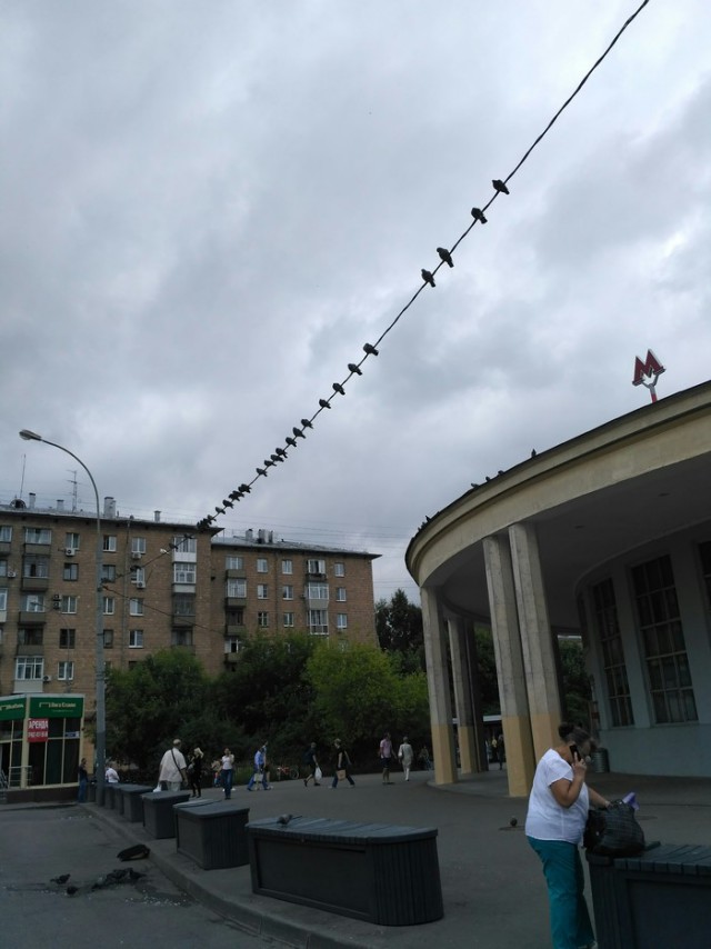 Картинки по-приколу