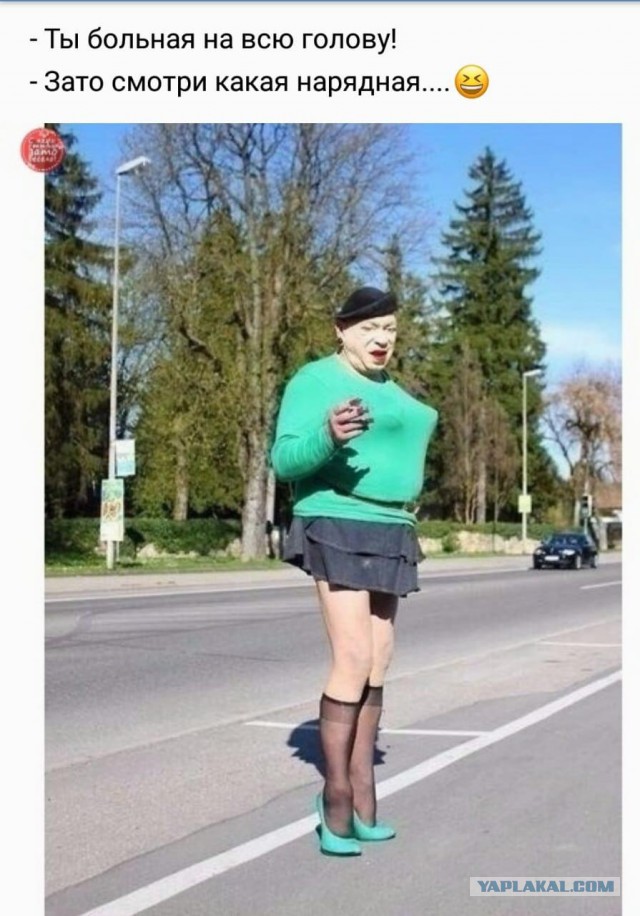 Немного веселых картинок про этих