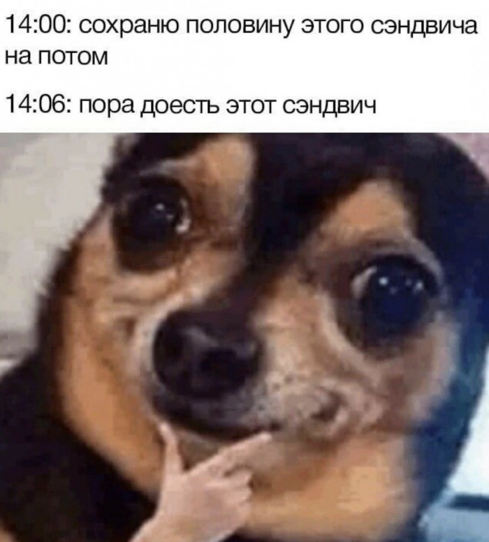 Немного картинок в эту субботу