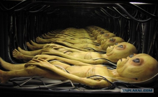 Студия монстров