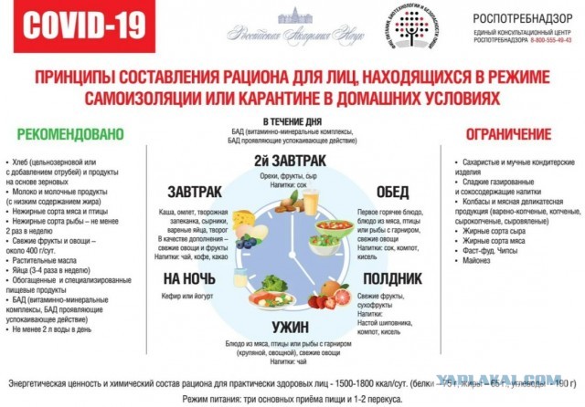 Пандемия. Коронавирус. Россия и мир. Последняя информация. Часть 13