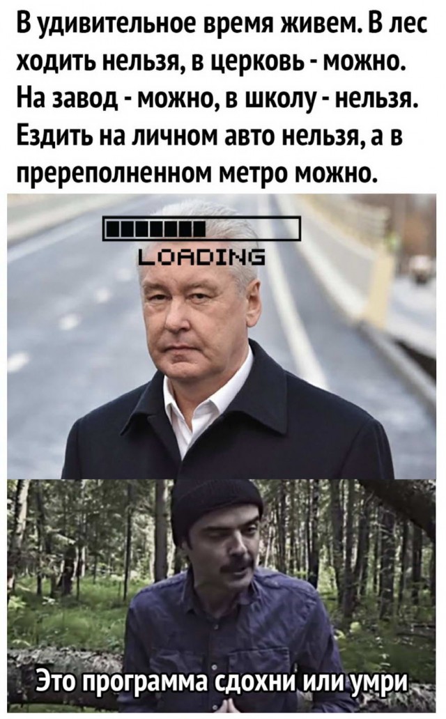 Картинки из рабочего чата 23.04