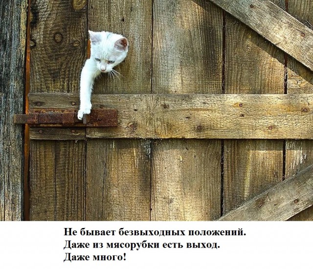Бредзона 14.05.20
