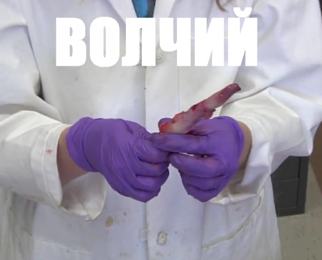 Я и Саша Грей