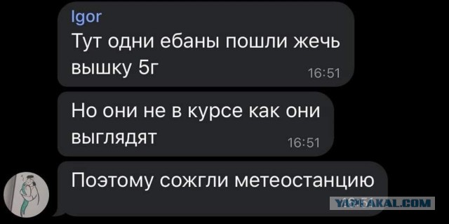 5G бунт в Ленинградской области