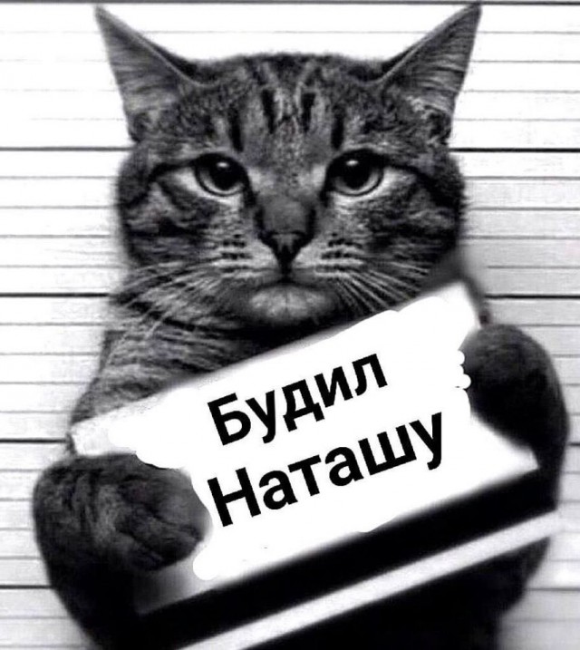 Наташа, вставай!
