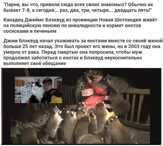 Картинки и всякие жизненные фразы
