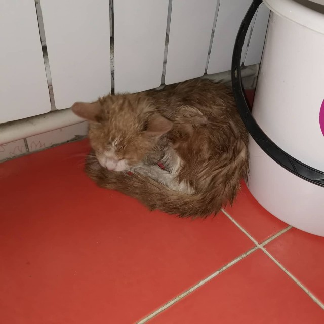 Новогодний подарок