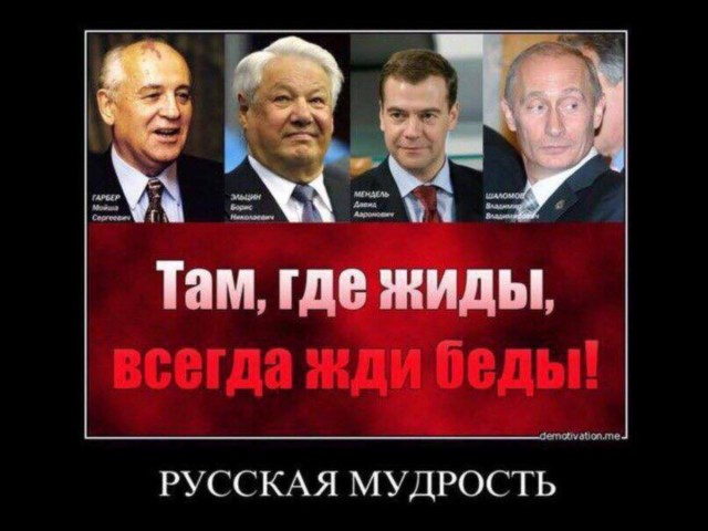 Инициатива по очищению улиц от стай бродячих собак.