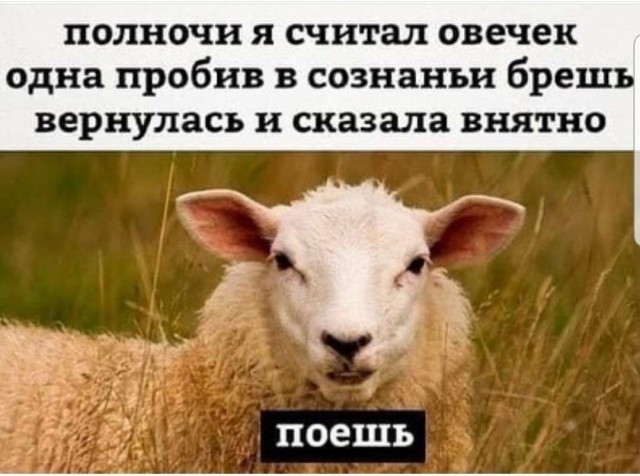 Весёлый полтишок 20.03