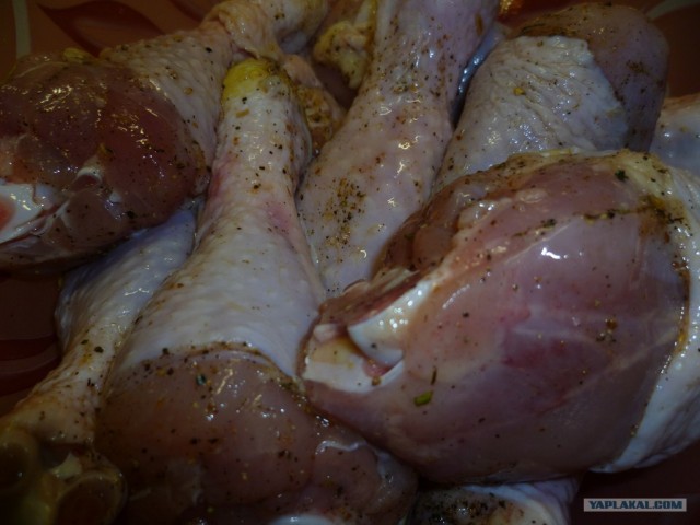 International одной книги., В память о Дженибеке.