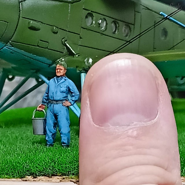 Сделал диораму с трудягой Ан-2 в подарок