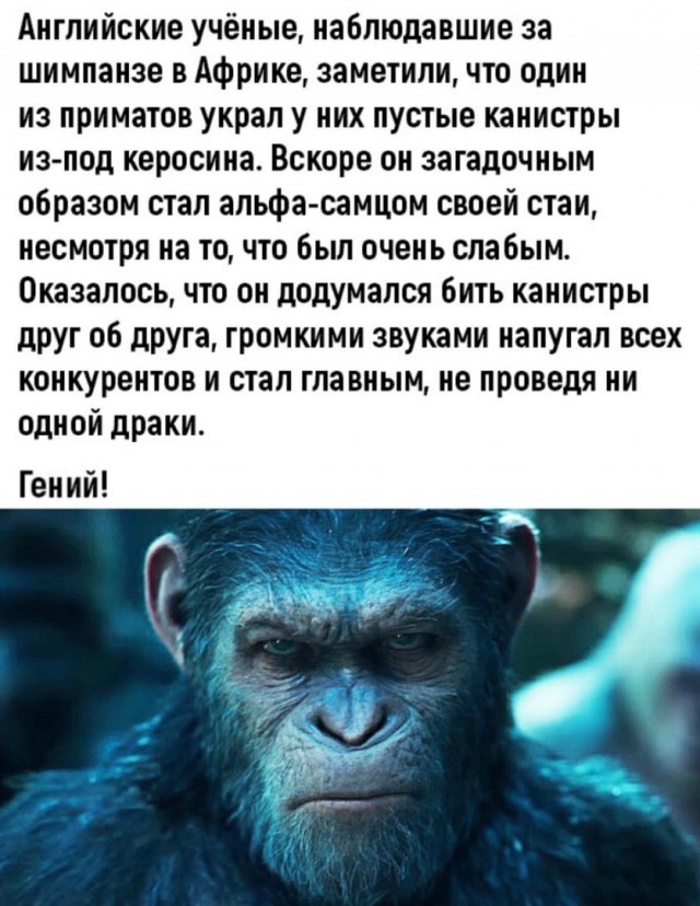 Так себе картинки 02.04.22
