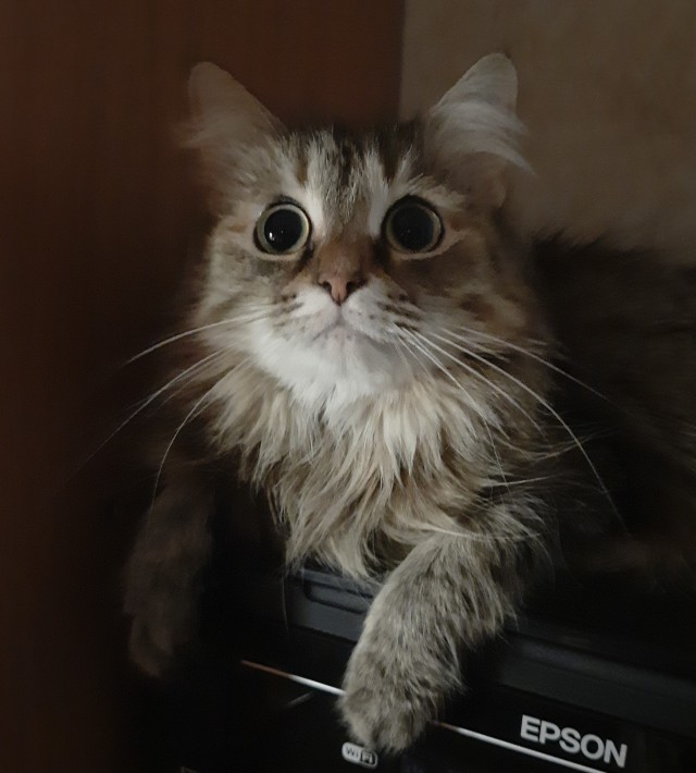 А что, уже вторник?