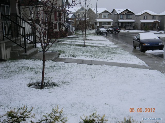 Это Калгари,сынок.