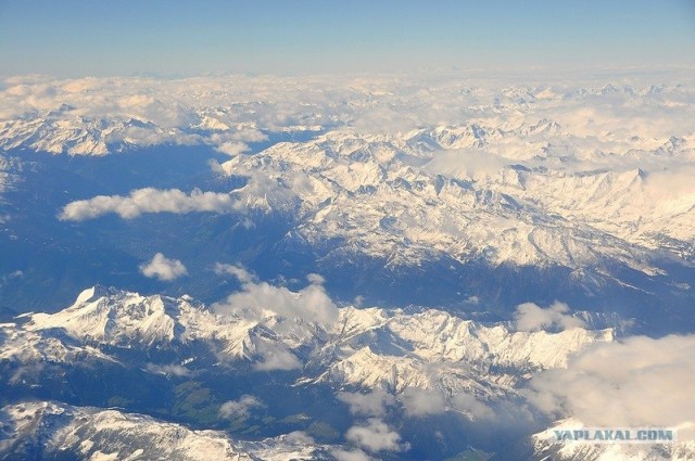 Любовь с первого взгляда