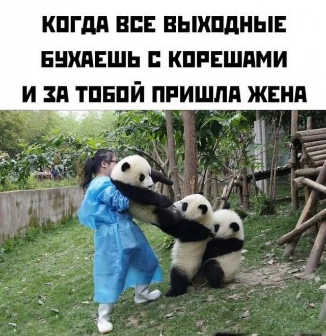 Картинки и мемы для настроения - 17
