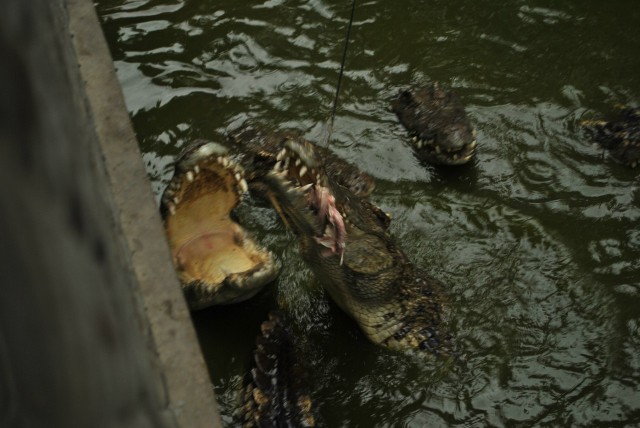 Тайланд: Бангкок, Паттайя, Ко Самет