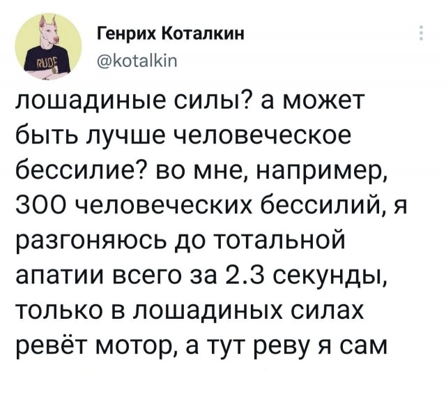 Так себе картинки 10.10.22