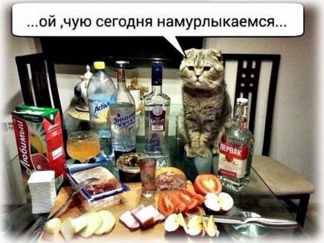 Прикольные и просто красивые картинки 04.11.2022