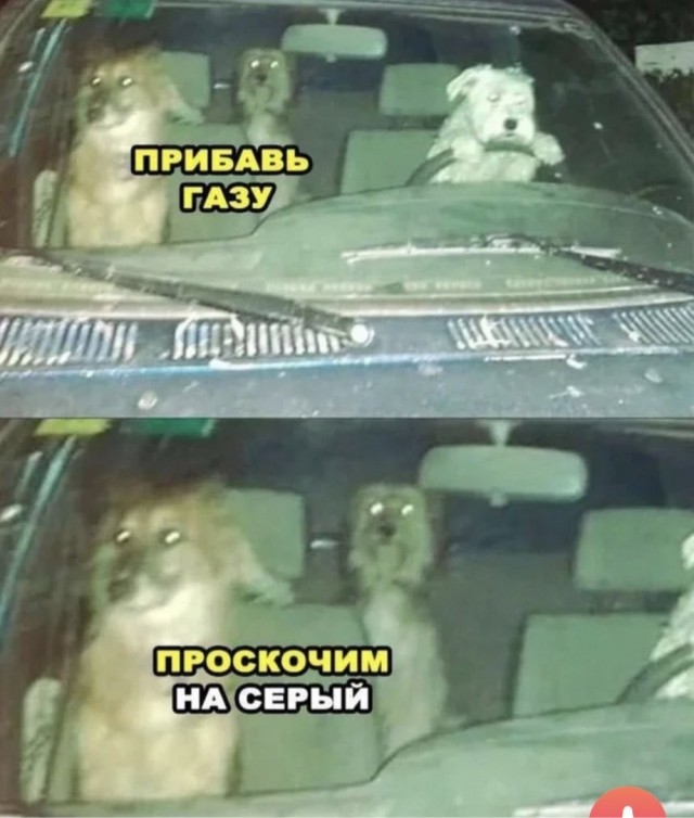 Пост для цветных