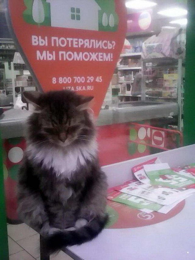 Прикольные и просто красивые картинки 02.12.2022