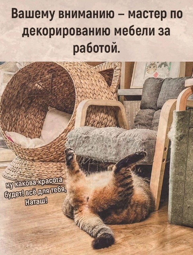 Юмор в картинках и без