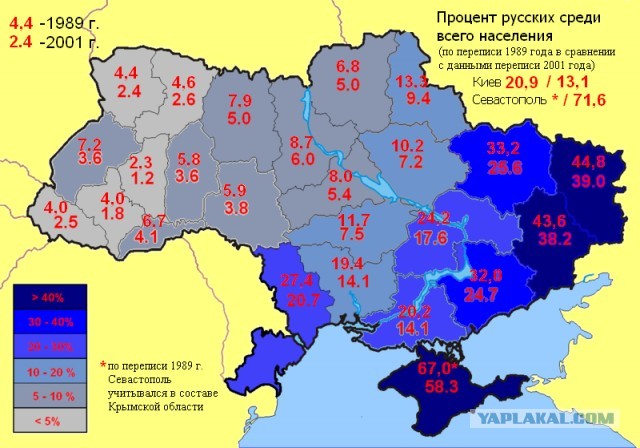 В Белгородской области начали формировать отряды теробороны