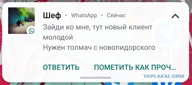 Почти половина опрошенных россиян поддержали запрет на использование иностранных слов, если в русском языке есть аналог