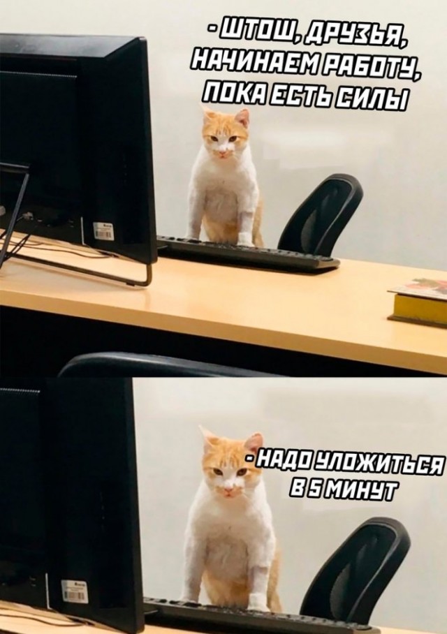 Картинки и мемы для настроения - 119