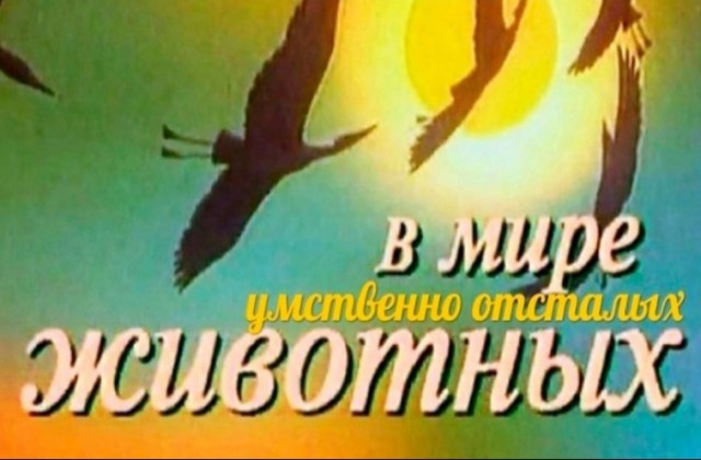 Про междугородние автобусные перевозки в ЮАР