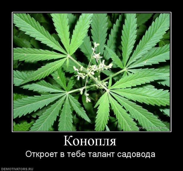 Прикольные и просто красивые картинки 03.02.2023