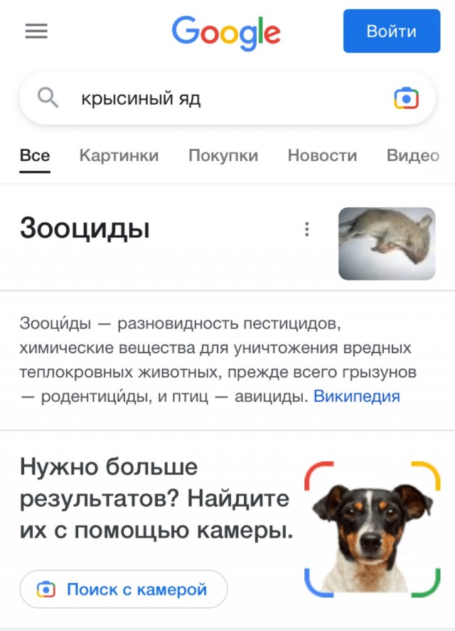В Самаре стая собак напала на ребенка