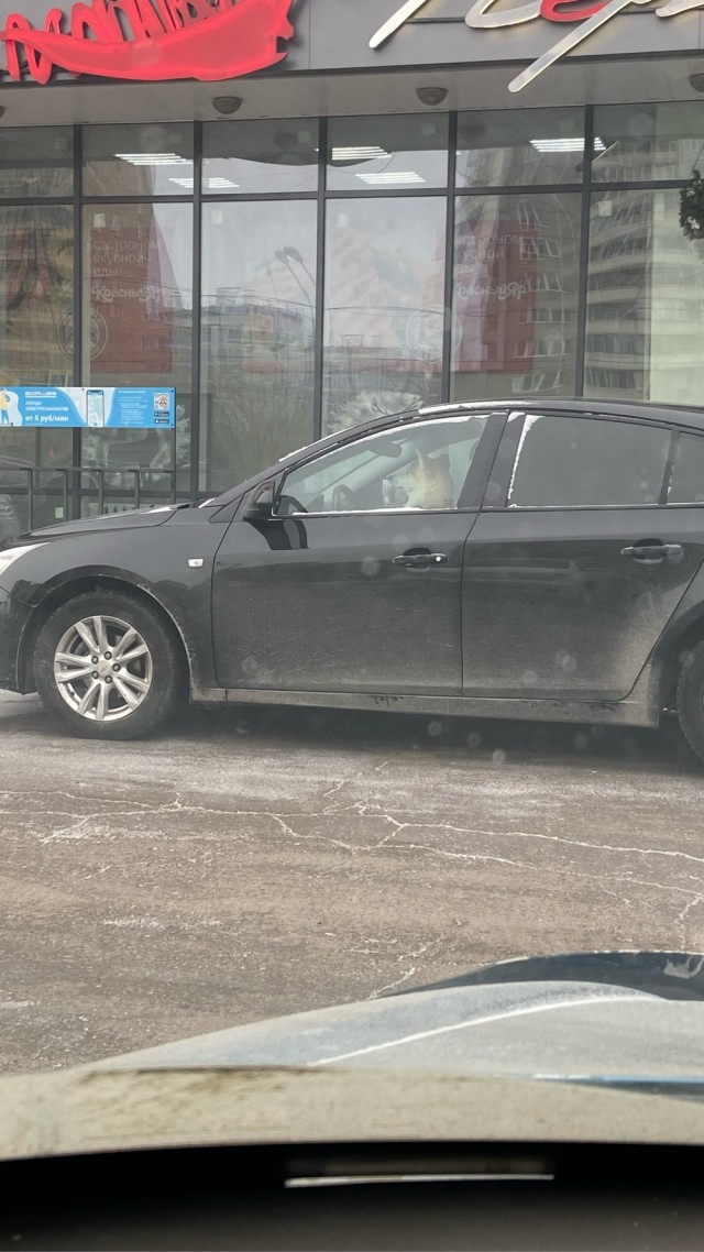 Хороший стикер⁠⁠