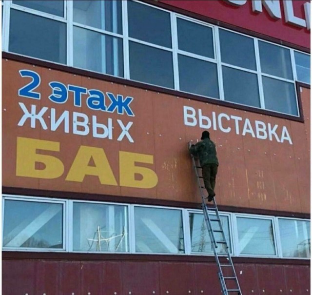 Обращение к женщинам: почему мужчины не хотят жениться