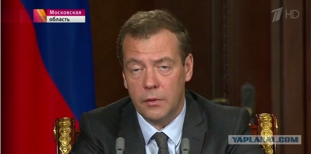 Дмитрий Анатольевич на страже человечества
