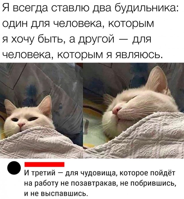 Скриншоты и комментарии из социальных сетей 07.10.23