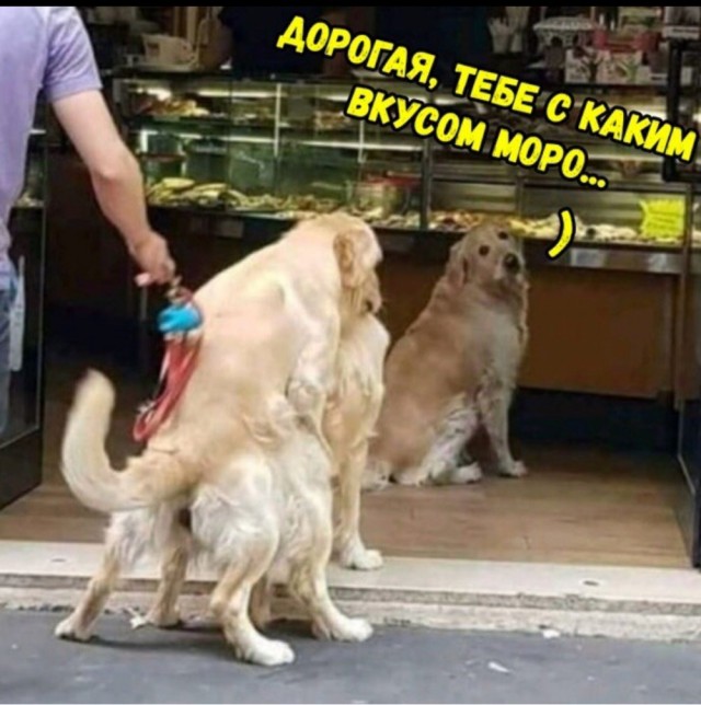 Отряд быстрого деградирования