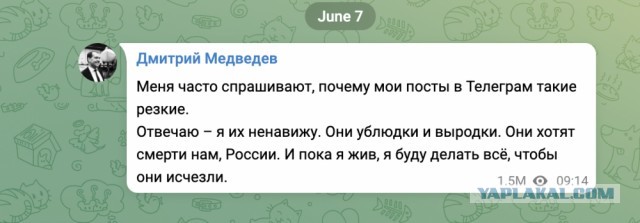 Актриса Полина Меньших была убита во время концерта в ДНР
