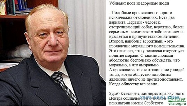 В Иркутске мужчина выбросил собаку с 17-го этажа, потому что она ему надоела