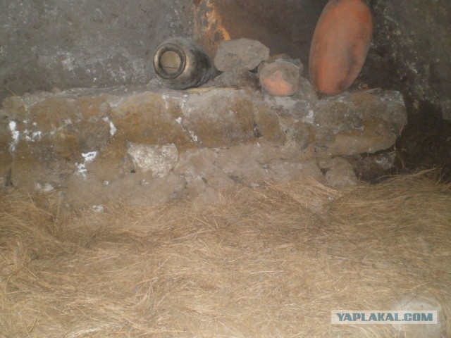 Хочу дачу на канарах!