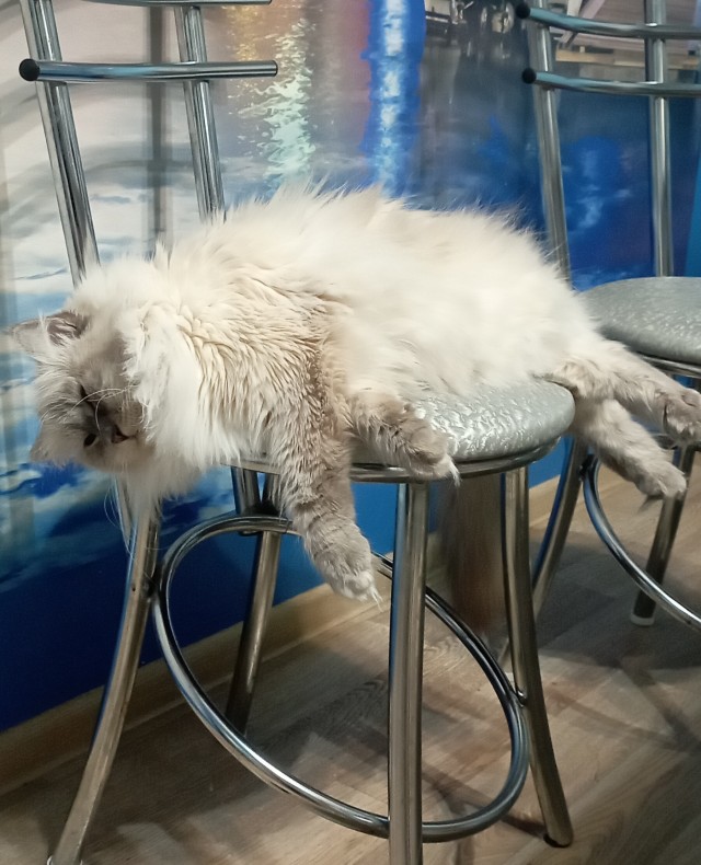 Беда пришла в мой дом