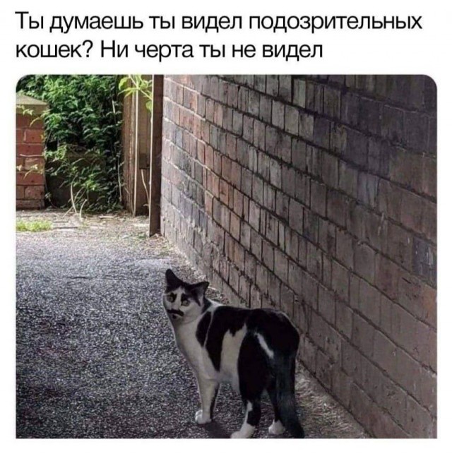 Всего понемногу. От 29.07
