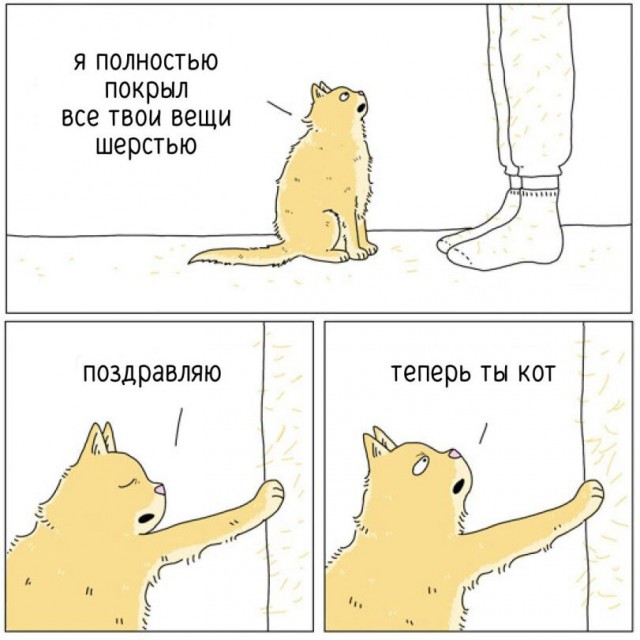 Отряд быстрого деградирования