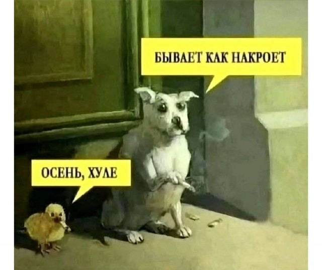 Весёлый полтишок 14.10.2024