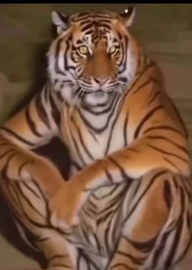 Не прокатило