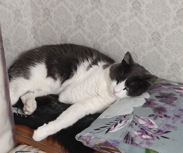 Мои гопники
