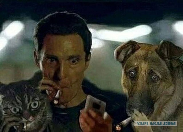 Стрелы релакса.