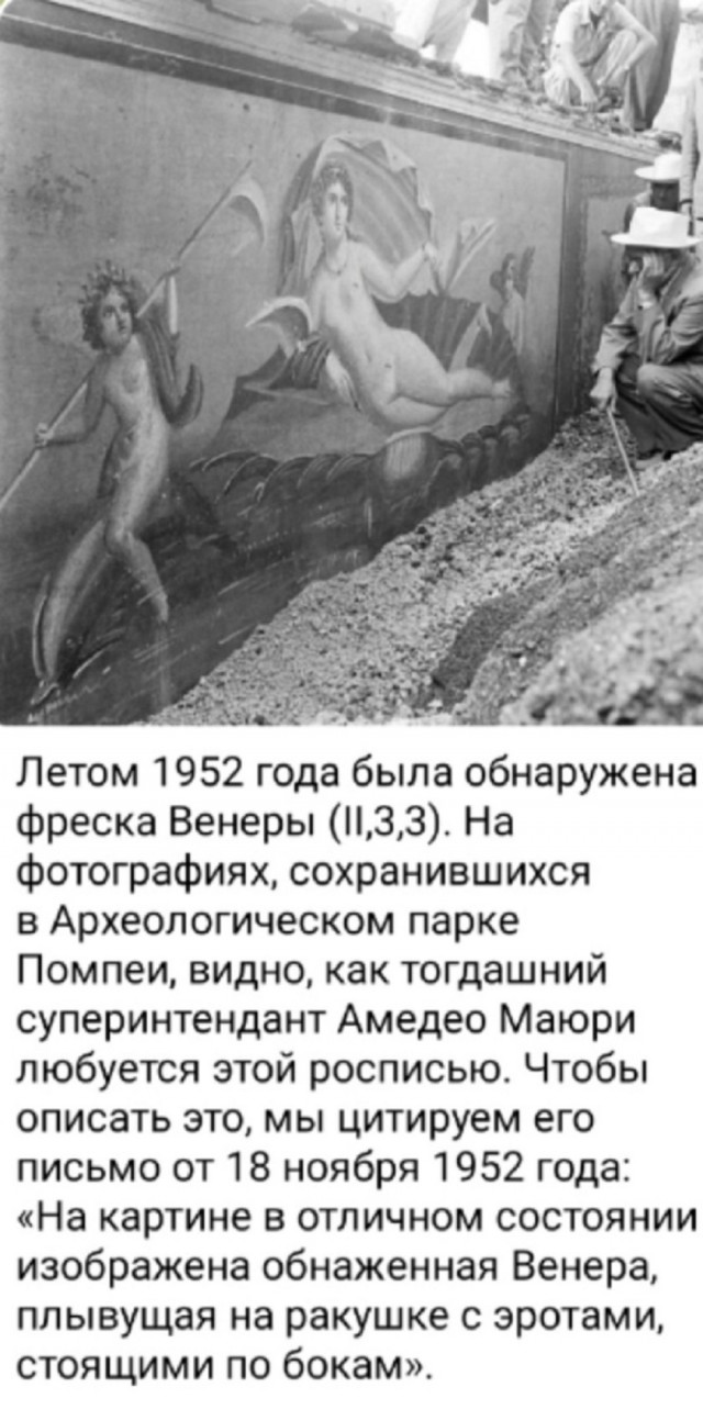 Так себе картинки 16.05.25